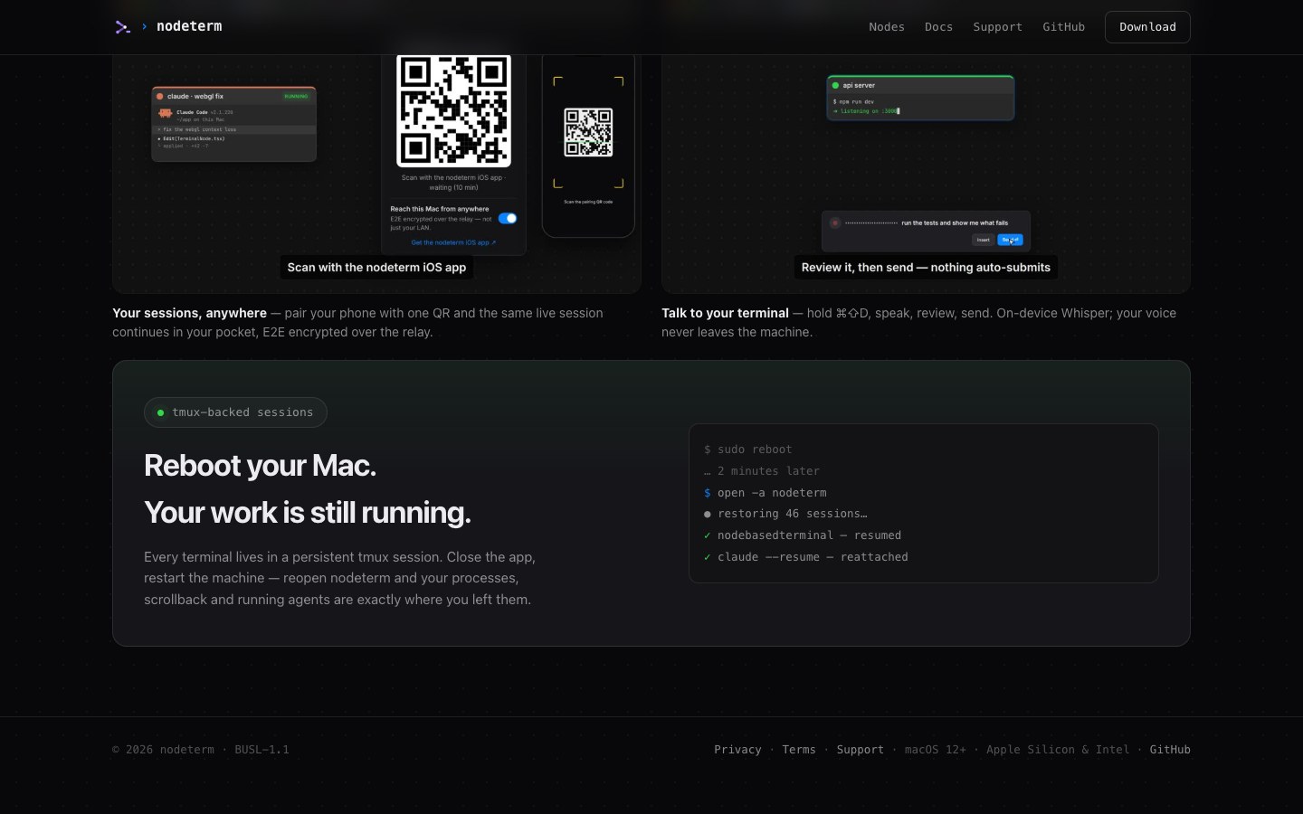 Nodeterm screenshot